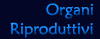 Organi riproduttivi