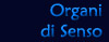 Organi di senso