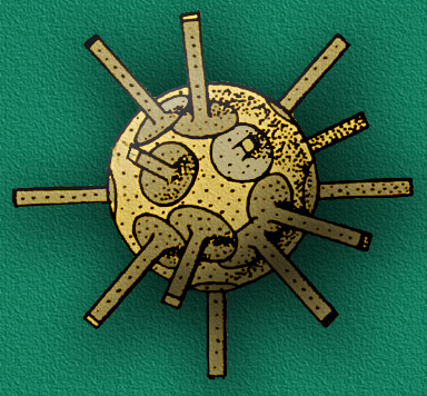 Rhabdospaera tignifer