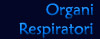 Organi respiratori